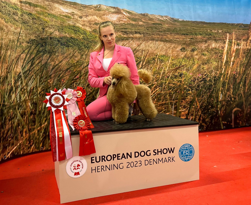 EDS Denmark - Euro Dog Show